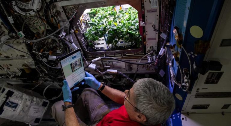 panen cabai nasa.gov iss066e008125_large