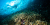 2. Muhammad Yudistira - Perikanan - Sumber Daya Perikanan dan Pariwisata - Taman Nasional Bunaken Keajaiban Surga Terumbu Karang - Tani Nelayan Center - IPB University - DIGITANI (1)