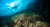 2. Muhammad Yudistira - Perikanan - Sumber Daya Perikanan dan Pariwisata - Taman Nasional Bunaken Keajaiban Surga Terumbu Karang - Tani Nelayan Center - IPB University - DIGITANI (1)