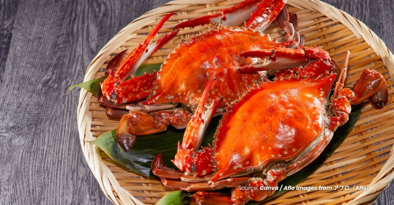 20230721 at 10.00 - CARA MEMILIH KEPITING SEGAR BERKUALITAS UNTUK DISANTAP