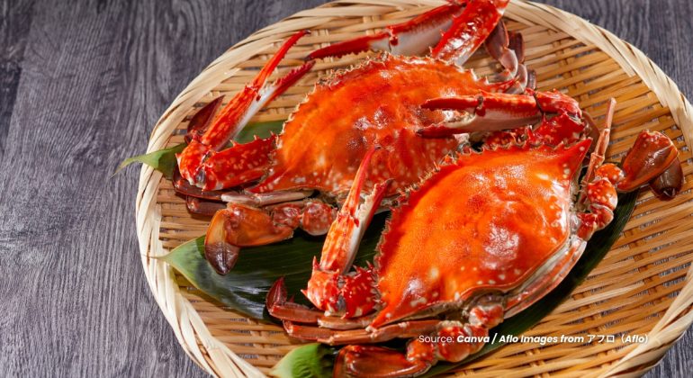 20230721 at 10.00 - CARA MEMILIH KEPITING SEGAR BERKUALITAS UNTUK DISANTAP