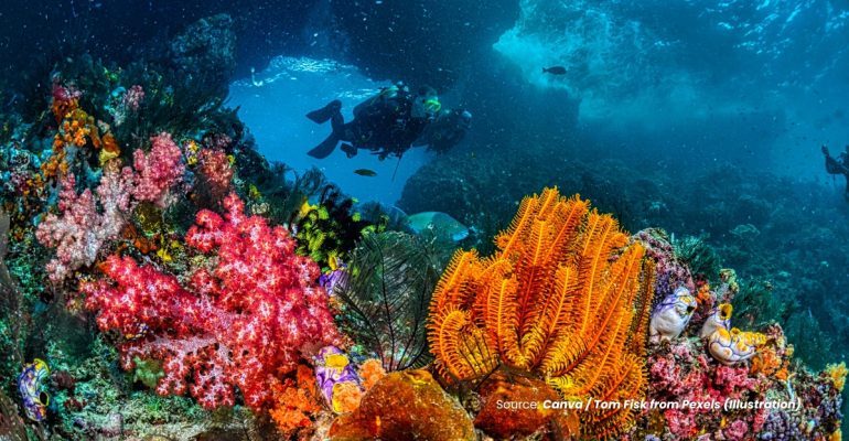 20230803 at 08.00 - TAMAN NASIONAL BUNAKEN SURGA BAWAH LAUT DENGAN PESONA TERUMBU KARANG