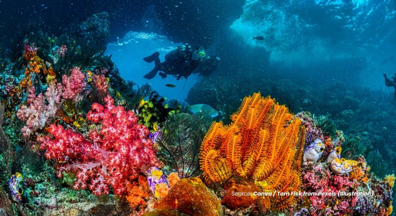 20230803 at 08.00 - TAMAN NASIONAL BUNAKEN SURGA BAWAH LAUT DENGAN PESONA TERUMBU KARANG