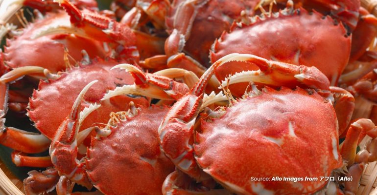 20231103 at 08.00 - MENGAPA LOBSTER BERUBAH WARNA SETELAH DIMASAK