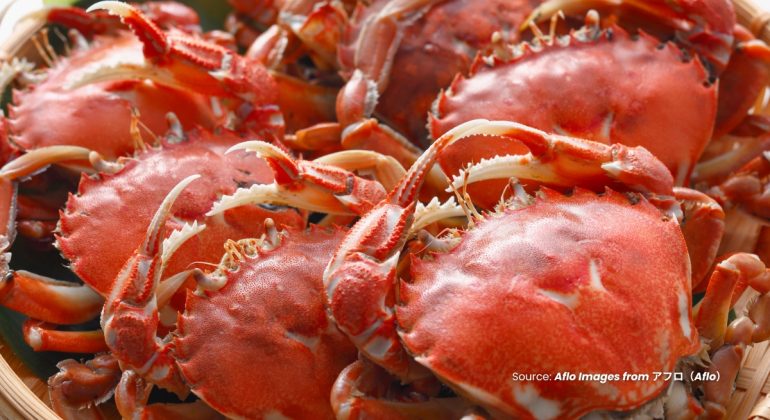 20231103 at 08.00 - MENGAPA LOBSTER BERUBAH WARNA SETELAH DIMASAK