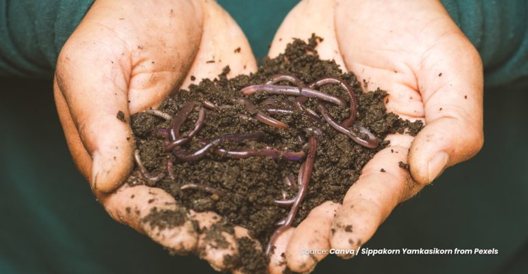 20231215 at 08.00 - TANTANGAN PENGGUNAAN PUPUK MAKRO UREA TERHADAP HASIL PERTANIAN BERKELANJUTAN