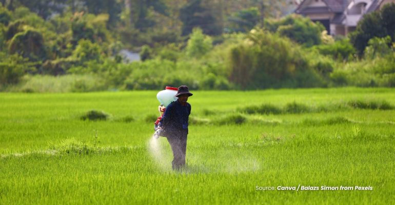 20231215 at 10.00 - ATASI DAMPAK NEGATIF PUPUK TCP DENGAN PENGGUNAAN YANG TEPAT