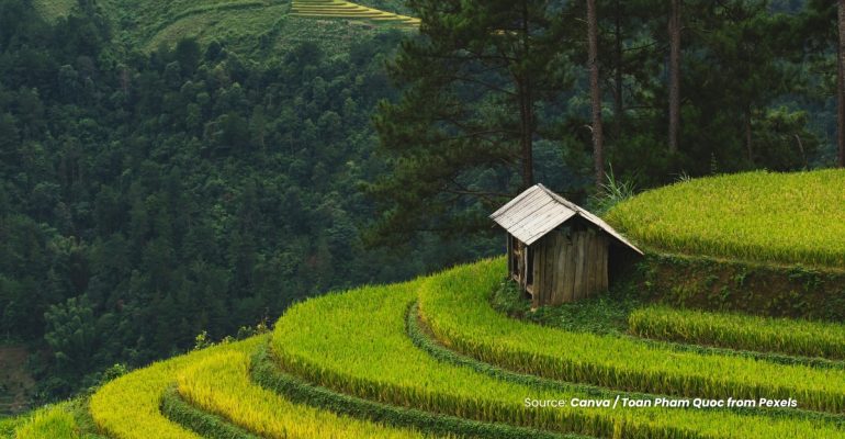 20231220 at 08.00 - ANCAMAN TERSEMBUNYI KERACUNAN BESI DI LAHAN SAWAH PASANG SURUT