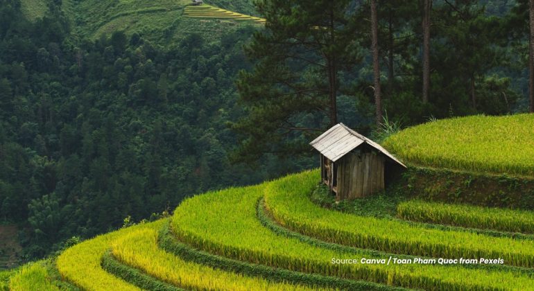 20231220 at 08.00 - ANCAMAN TERSEMBUNYI KERACUNAN BESI DI LAHAN SAWAH PASANG SURUT