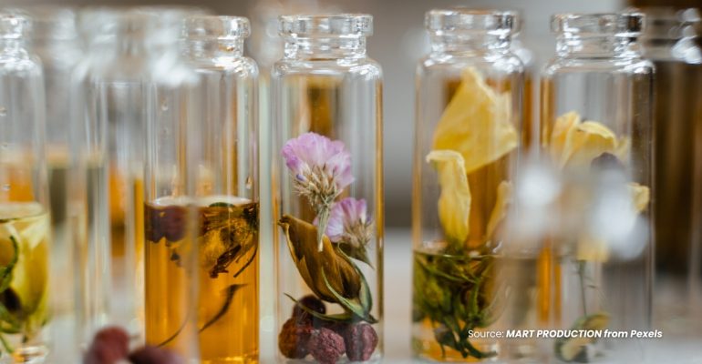20240125 at 10.00 - BIOSAKA ELISITOR ALAMI DARI INDONESIA