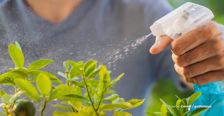 20240202 at 10.00 - PERAN INOVATIF INSEKTISIDA BOTANI NANOEMULSI