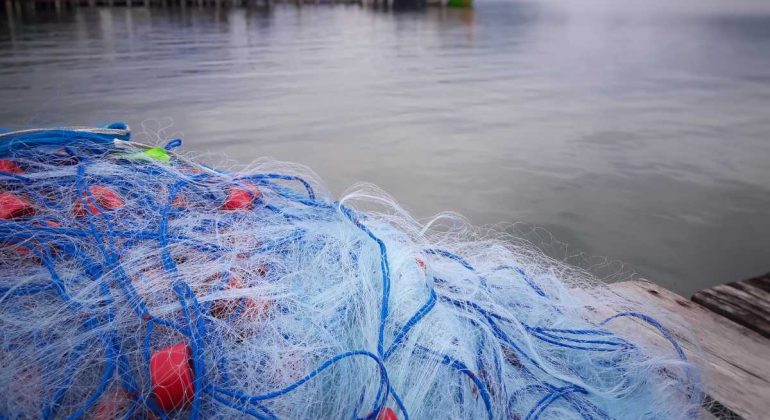 ALAT TANGKAP JARING INSANG TEKNIK DAN PROSESNYA - Nelayan - Perikanan - Kelompok Nelayan indonesia Tani dan Nelayan Center IPB University - IPB Digitani