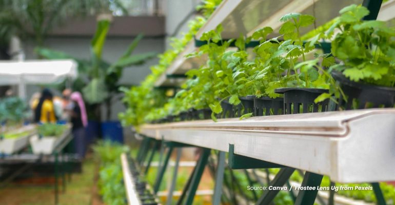 20240309 at 14.00 - BAGAIMANA CARA MENGEMBANGKAN KELOMPOK URBAN FARMING