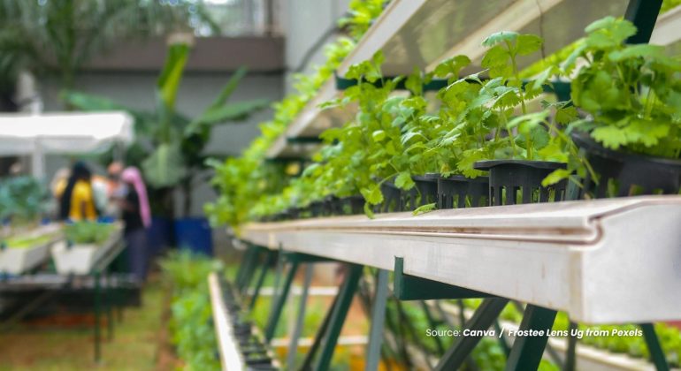 20240309 at 14.00 - BAGAIMANA CARA MENGEMBANGKAN KELOMPOK URBAN FARMING