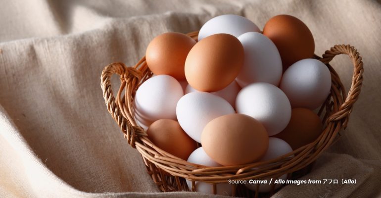 20240322 at 10.00 - APA SAJA KANDUNGAN NUTRISI PADA TELUR AYAM