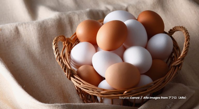 20240322 at 10.00 - APA SAJA KANDUNGAN NUTRISI PADA TELUR AYAM