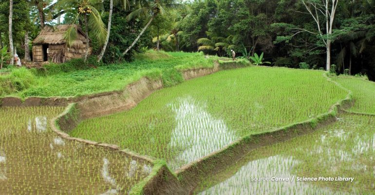 20240322 at 14.00 - BAGAIMANA MENGUKUR pH TANAH DI LAHAN SAWAH IRIGASI