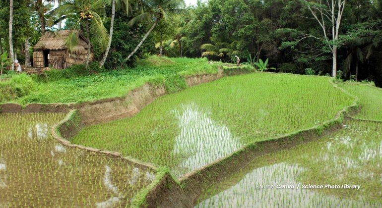 20240322 at 14.00 - BAGAIMANA MENGUKUR pH TANAH DI LAHAN SAWAH IRIGASI