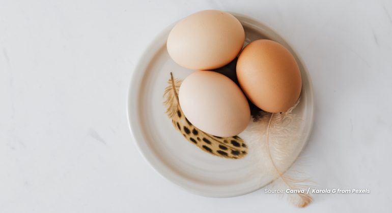 20240323 at 10.00 - MANFAAT KONSUMSI TELUR AYAM BAGI KESEHATAN MANUSIA, APA SAJA
