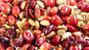 IPB DIGITANI - Apa Saja Manfaat Cherry Kopi Pada Produk Pertanian - TANI DAN NELAYAN CENTER IPB UNIVERSITY