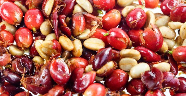 IPB DIGITANI - Apa Saja Manfaat Cherry Kopi Pada Produk Pertanian - TANI DAN NELAYAN CENTER IPB UNIVERSITY