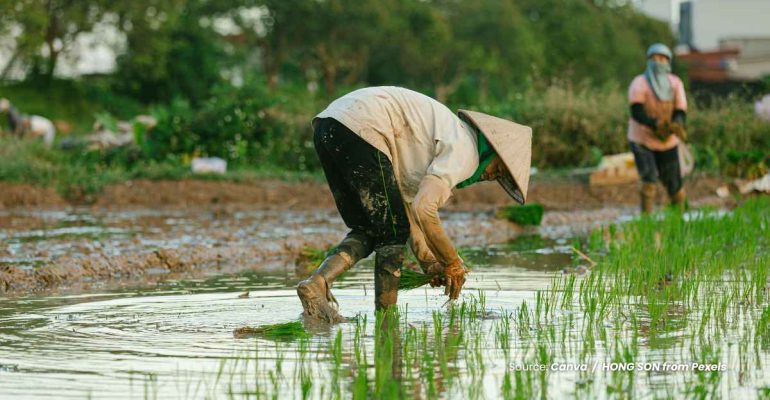 20240605 at 14.00 - APA SAJA PRIORITAS UNTUK PERTANIAN BAGI GENERASI MUDA DI INDONESIA