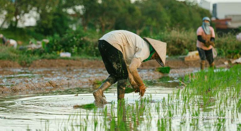 20240605 at 14.00 - APA SAJA PRIORITAS UNTUK PERTANIAN BAGI GENERASI MUDA DI INDONESIA