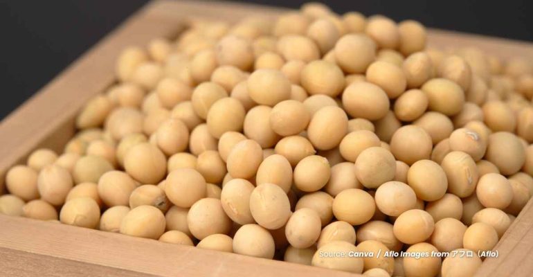 20240624 at 10.00 - KEDELAI SEBAGAI ‘GOLD FROM THE SOIL’ DENGAN SEGUDANG MANFAAT