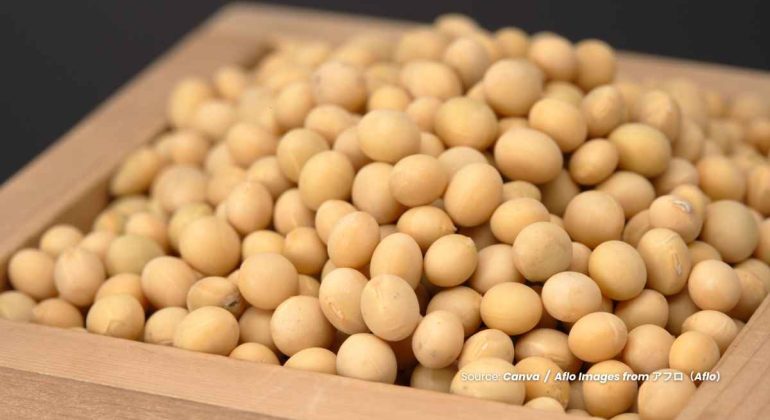 20240624 at 10.00 - KEDELAI SEBAGAI ‘GOLD FROM THE SOIL’ DENGAN SEGUDANG MANFAAT