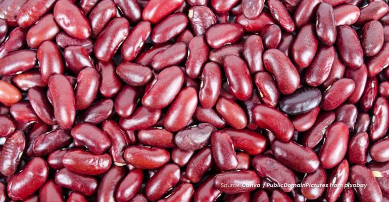 20240702 at 10.00 - RAHASIA KACANG MERAH BAGI KESEHATAN TUBUH