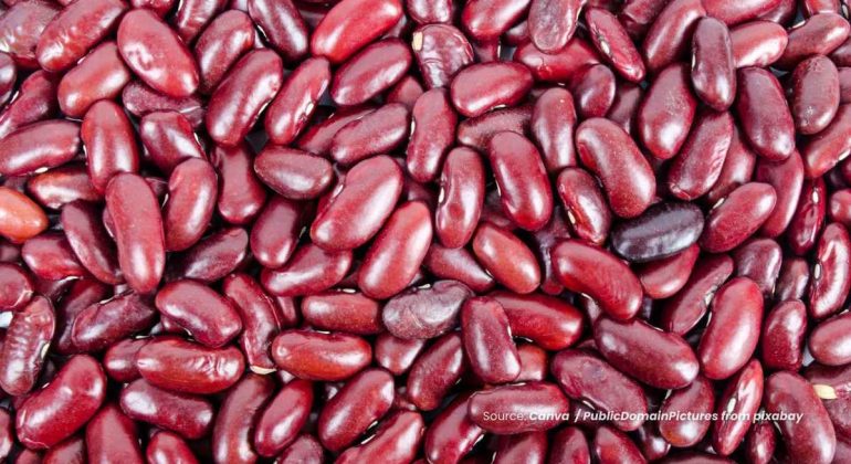 20240702 at 10.00 - RAHASIA KACANG MERAH BAGI KESEHATAN TUBUH