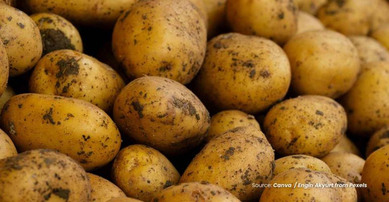 20240704 at 10.00 - KEAJAIBAN NUTRISI DAN MANFAAT KENTANG BAGI KESEHATAN YANG PERLU DIKETAHUI
