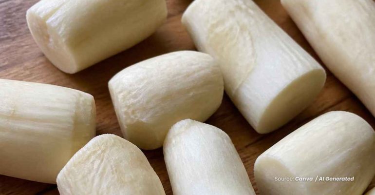 20240705 at 14.00 - BAGAIMANA POTENSI GAPLEK SINGKONG PADA INDUSTRI
