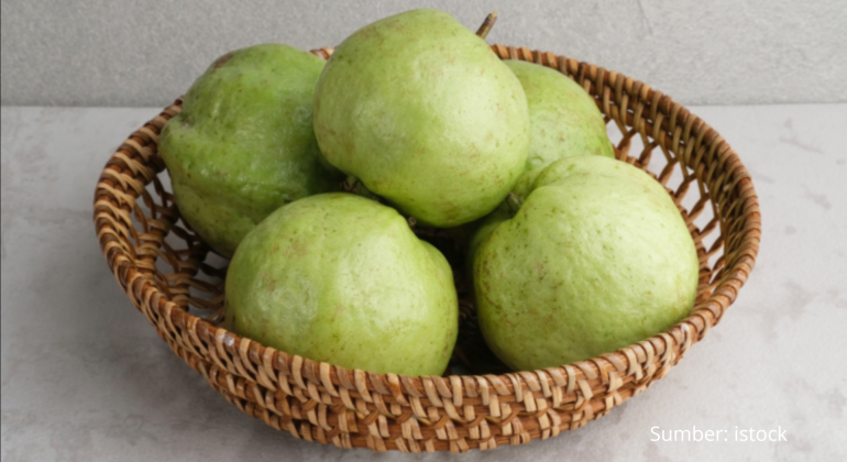 JAMBU KRISTAL BUAH SUPER DENGAN MANFAAT SEGUDANG