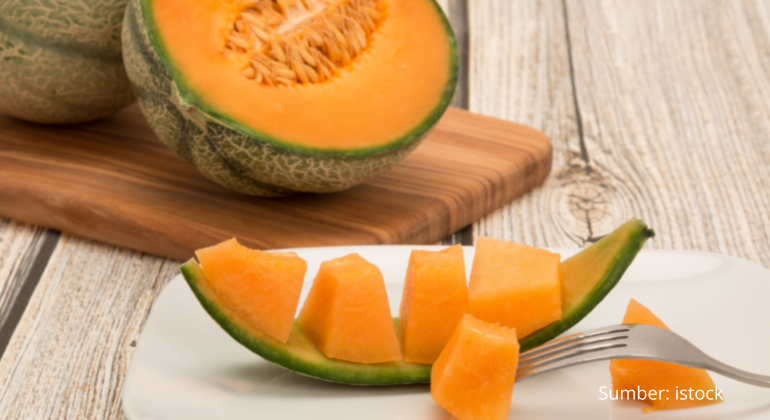 TANAMAN MELON KARAKTERISTIK, PENYERBUKAN, DAN MANFAAT