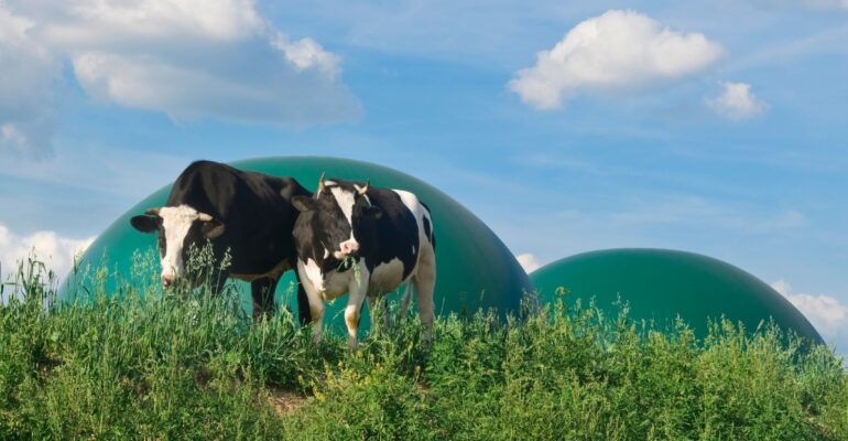 IPB DIGITANI - TANI DAN NELAYAN CENTER IPB UNIVERSITY - APA SOLUSI UNTUK PENGOLAHAN BIOGAS