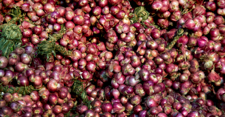 BUDIDAYA BAWANG MERAH: CARA DAN LANGKAH MUDAH