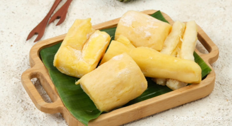 TAPE SINGKONG KUDAPAN TRADISIONAL SEHAT