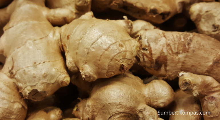 TEMULAWAK HERBAL KHAS INDONESIA DENGAN MANFAAT SEGUDANG