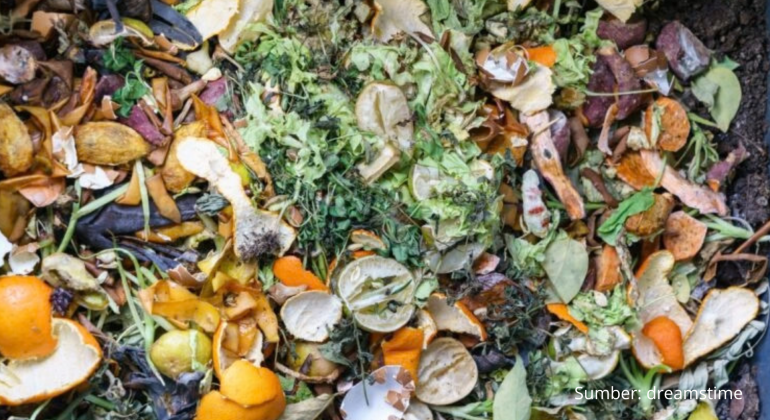 BAGAIMANA MEMBUAT ECO ENZYME SEBAGAI PENGGANTI PUPUK POSKA