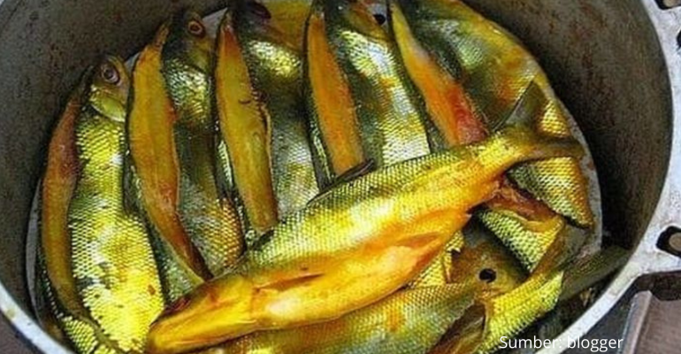 INTIP PROSES PENGAWETAN TRADISIONAL IKAN BANDENG