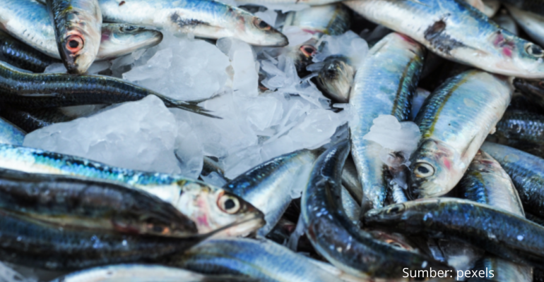 SUSU IKAN INOVASI PANGAN TINGGI PROTEIN YANG RAMAH LINGKUNGAN 