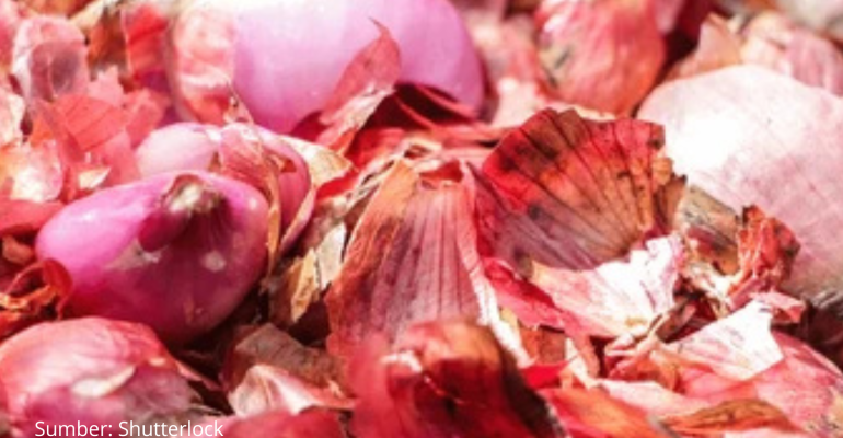 APA SAJA MANFAAT KULIT BAWANG SEBAGAI PESTISIDA ORGANIK