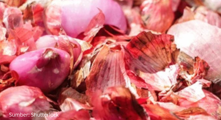 APA SAJA MANFAAT KULIT BAWANG SEBAGAI PESTISIDA ORGANIK