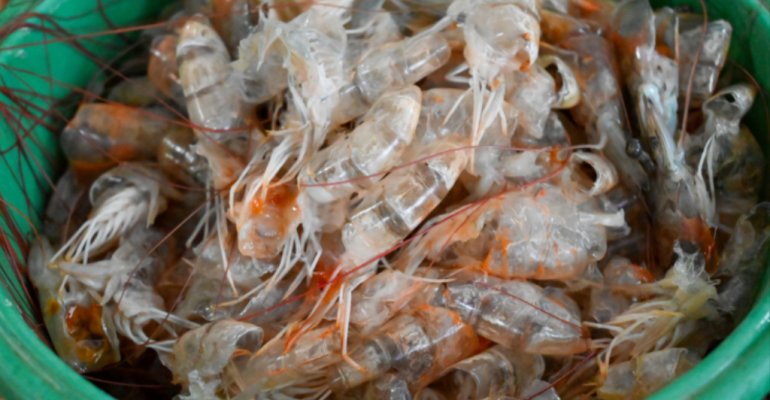 _MENGANDUNG KITIN, KULIT UDANG TERNYATA BAIK DIKONSUMSI