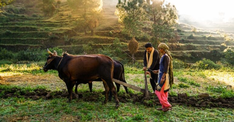 IPB DIGITANI - TANI DAN NELAYAN CENTER IPB UNIVERSITY - PENTINGNYA KOLABORASI PENYULUH DAN PETANI MENGHADAPI PERUBAHAN IKLIM 