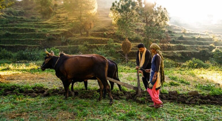 IPB DIGITANI - TANI DAN NELAYAN CENTER IPB UNIVERSITY - PENTINGNYA KOLABORASI PENYULUH DAN PETANI MENGHADAPI PERUBAHAN IKLIM 