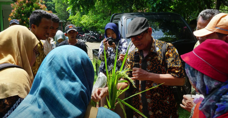 IPB DIGITANI - TANI DAN NELAYAN CENTER IPB UNIVERSITY - KONSISTEN CIPTAKAN INOVASI, MARI KENALAN DENGAN SANG PAHLAWAN BENIH