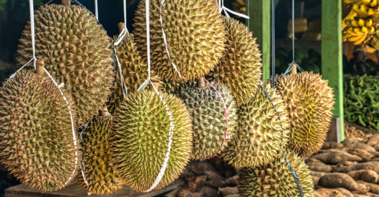 IPB DIGITANI - TANI DAN NELAYAN CENTER IPB UNIVERSITY - TERNYATA INI LAH PENYEBAB BAU PADA BUAH DURIAN