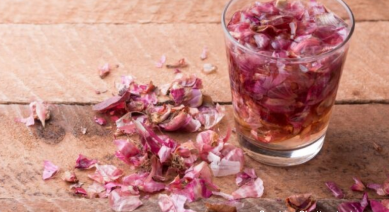 BAGAIMANA CARA MEMBUAT PESTISIDA ORGANIK CAIR DARI KULIT BAWANG MERAH